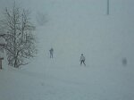 Séjour neige dans le Jura Lamoura, à Neige et plein Air groupe Cap-France.<br>Raquettes; marche; ski de fond.<br>du 31 janvier au 07 février 2015